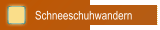 Schneeschuhwandern